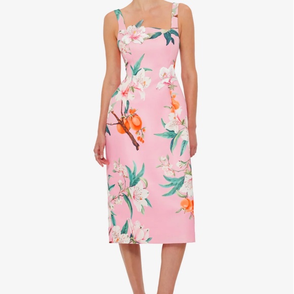 Leo Lin 'Larissa' Midi Dress in Lavish Print in Pink (NWOT) - Picture 6 of 12